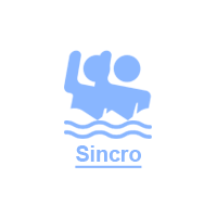 sincro logo